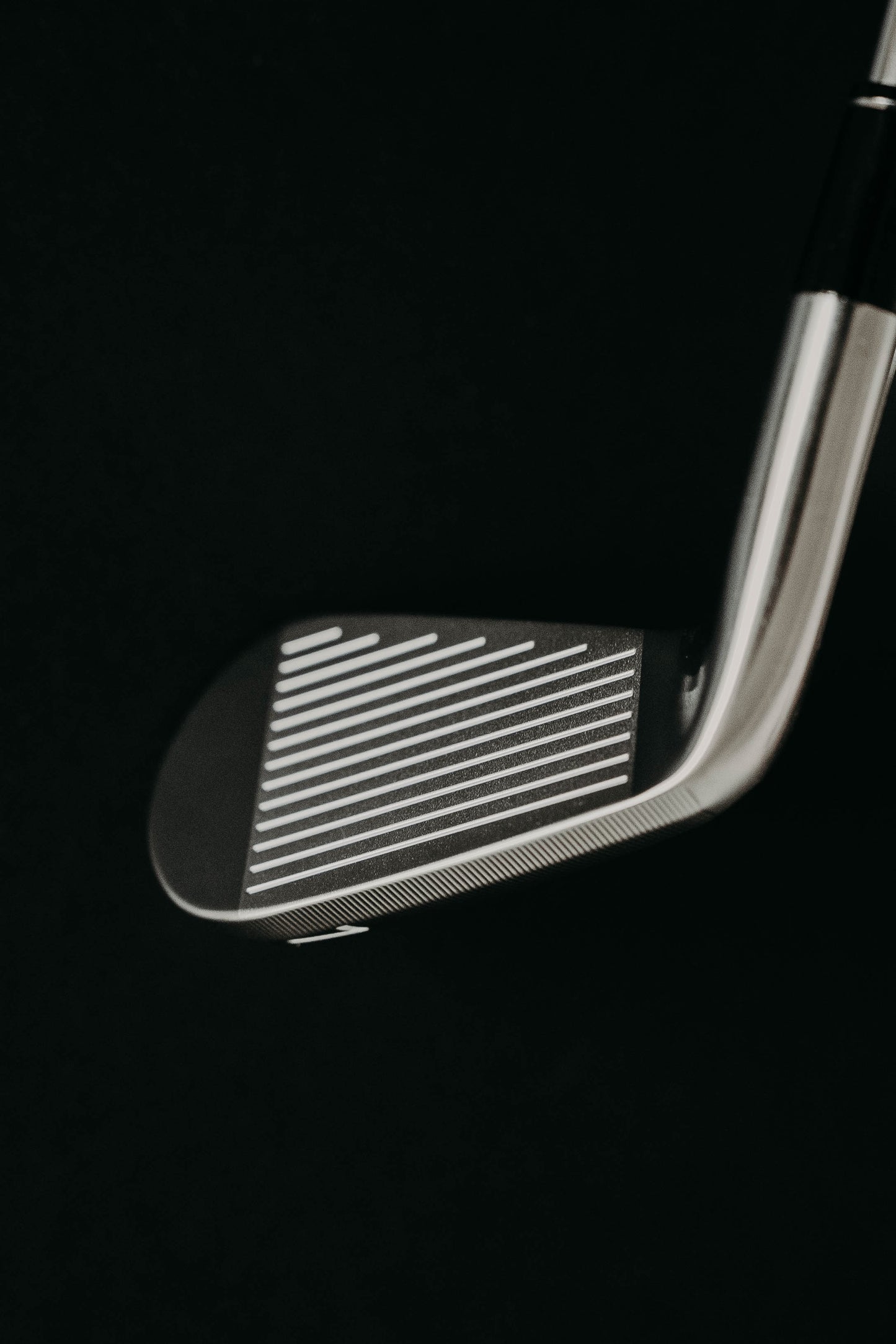 MB2 Forged Muscle Back