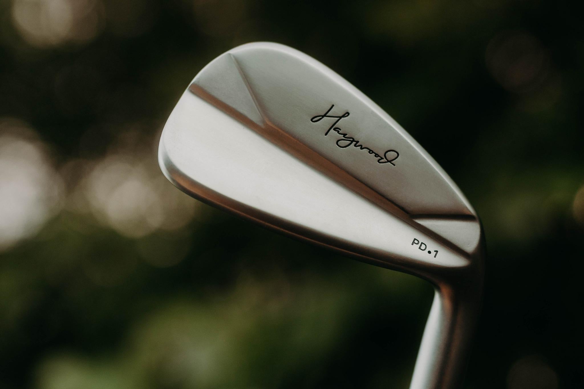 PD.1 Irons (Players Distance Model) in use