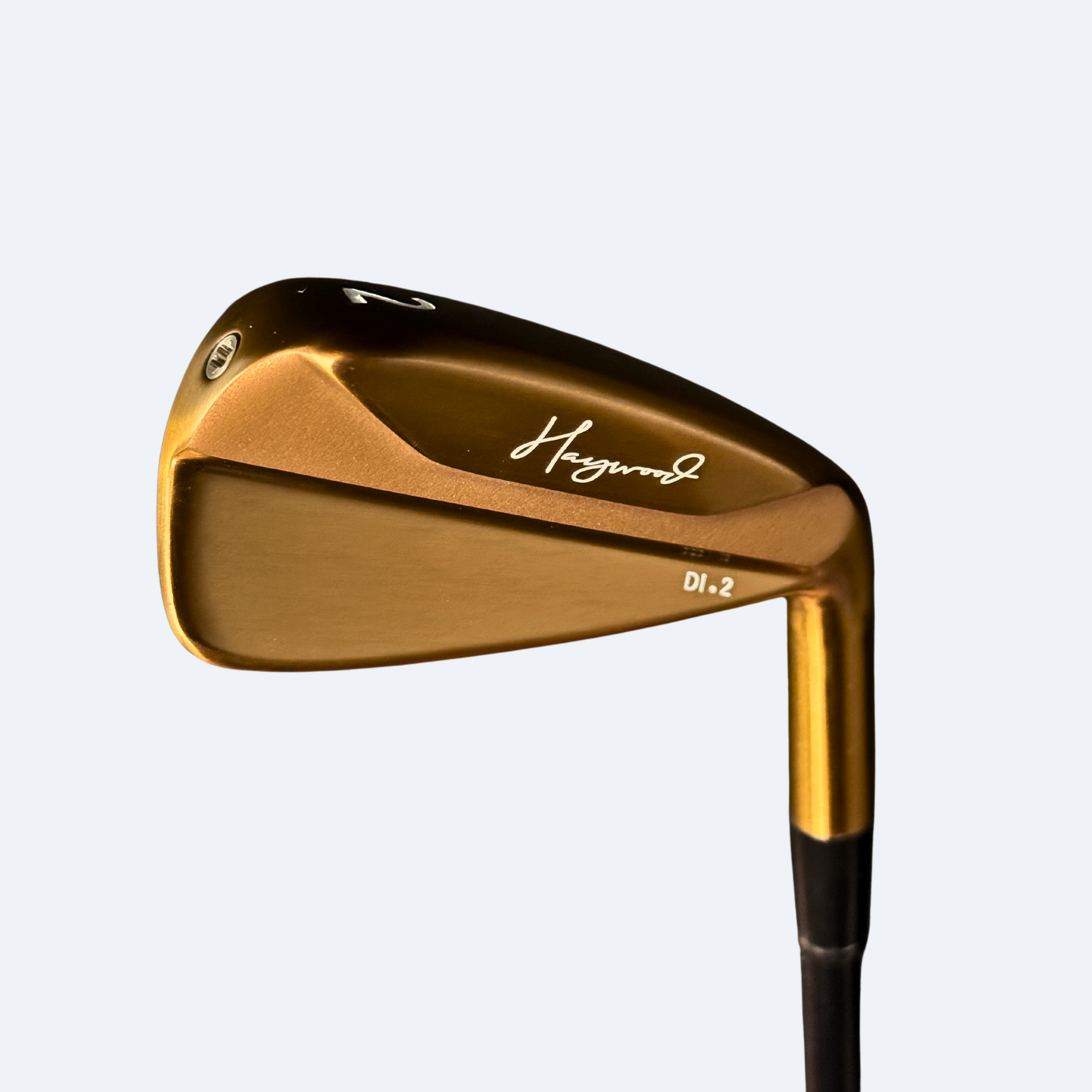 Haywoodgolf 100's アイアンセット DG Tour Issue Haywoodgolf 100's アイアンセット DG Tour Issue