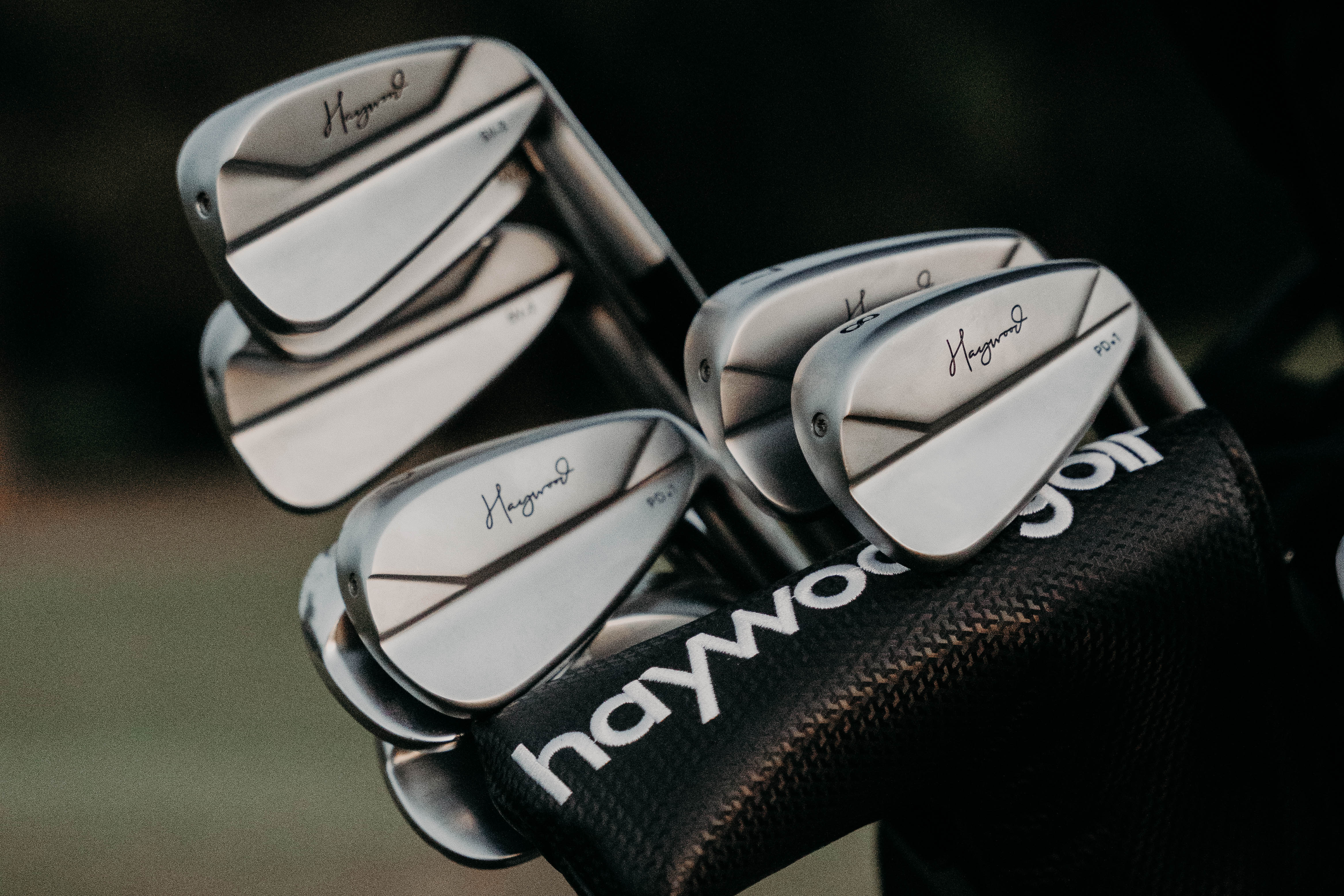 Haywoodgolf 100's アイアンセット DG Tour Issue Haywoodgolf 100's アイアンセット DG Tour Issue - メルカリ