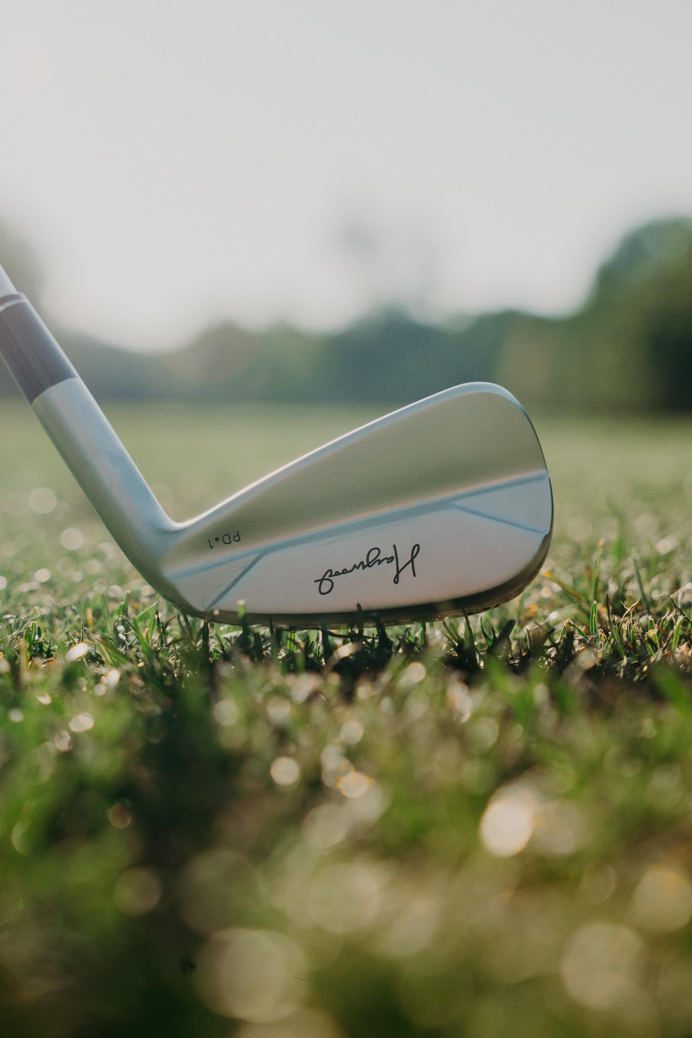 Player using PD.1 Irons (Players Distance Model)