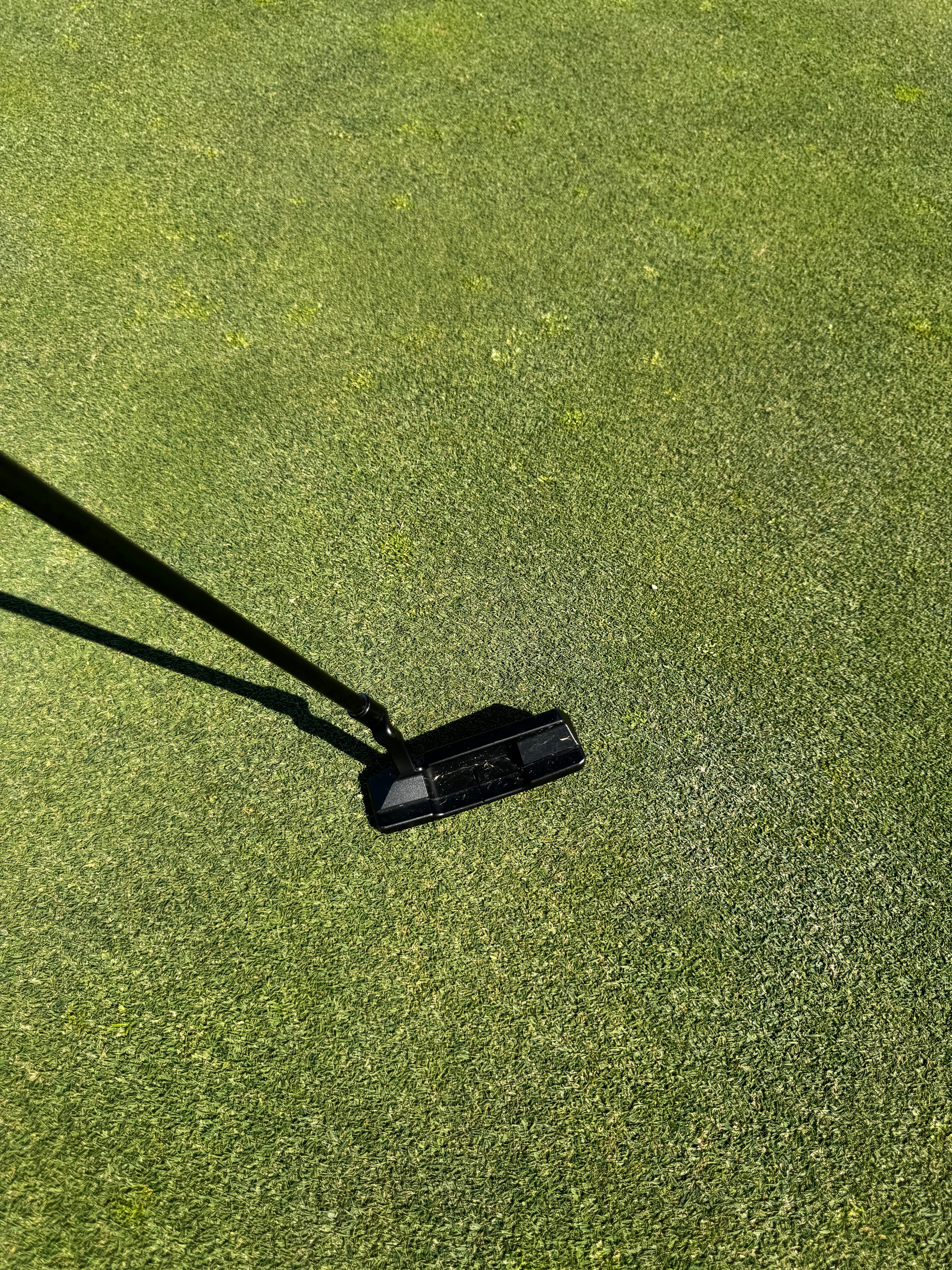Player using Signature Putter