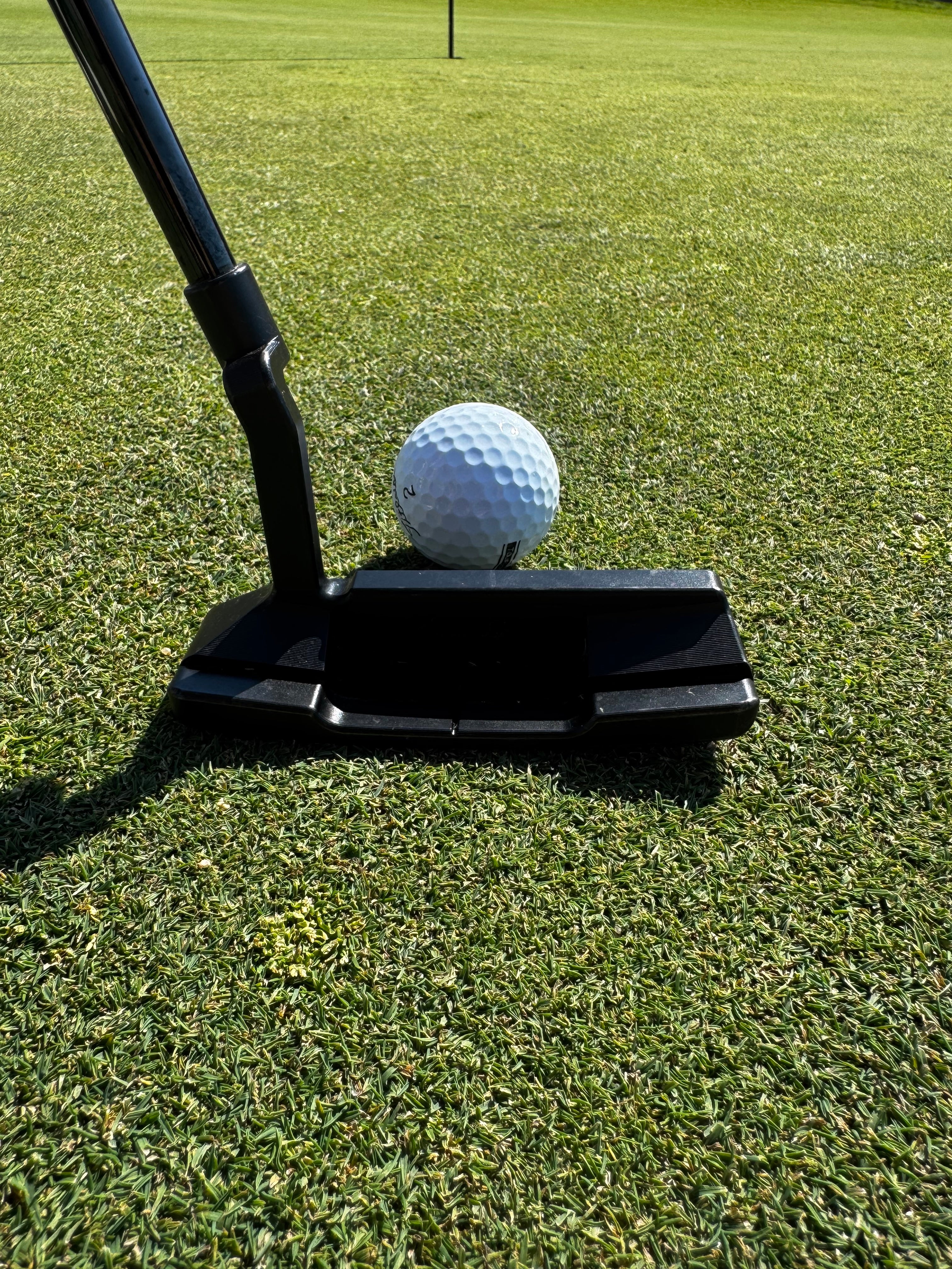 Player using Signature Putter
