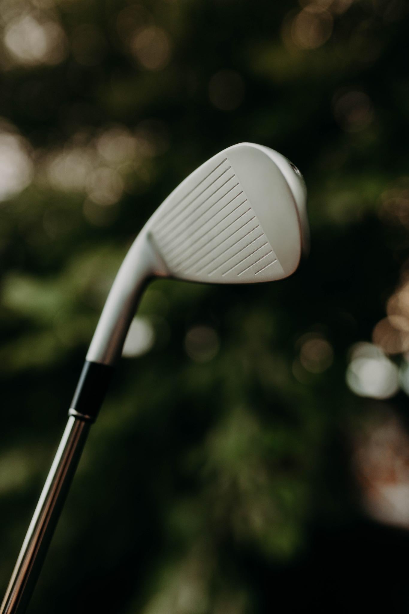 Player using PD.1 Irons (Players Distance Model)