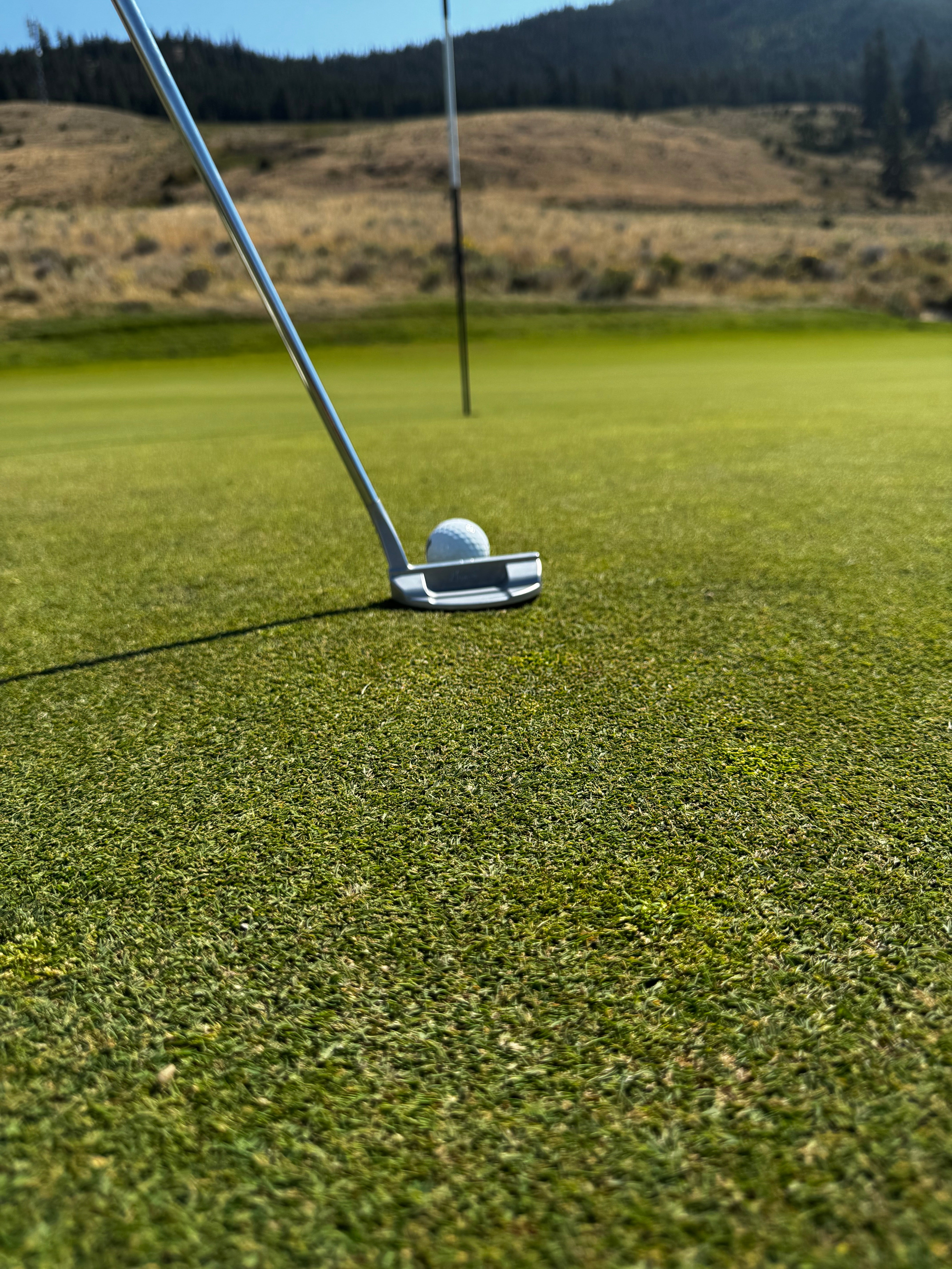 Player using Mid Mallet Putter